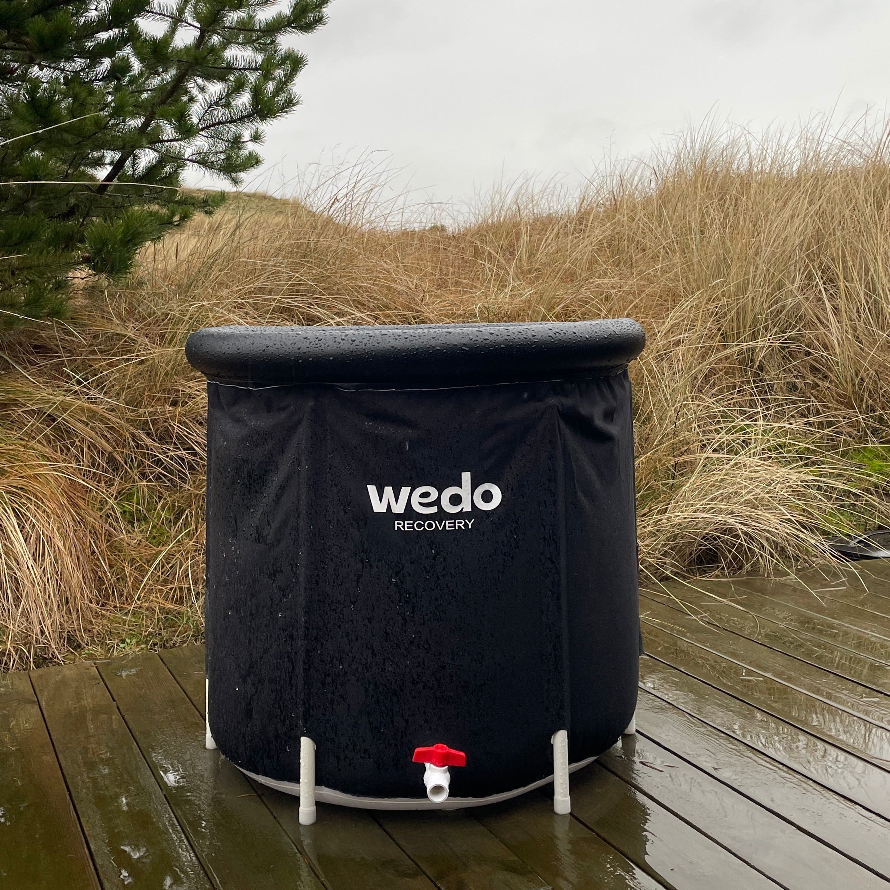 ISBADET - WEDO RECOVERY