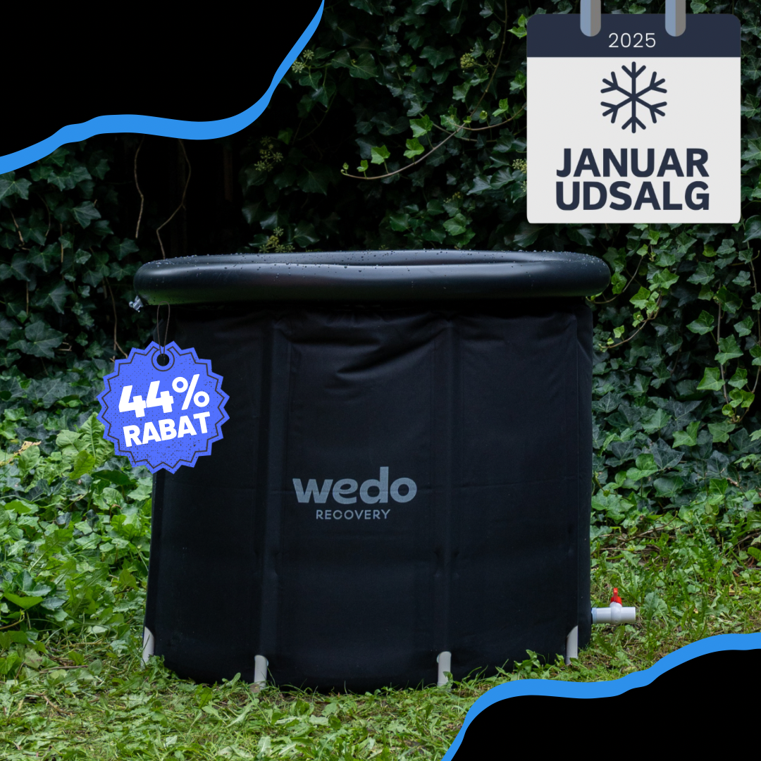 ISBADET - WEDO RECOVERY